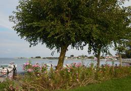 LOCATION DE VILLAS ET APPARTEMENTS SUR L’ILE DE RE.
