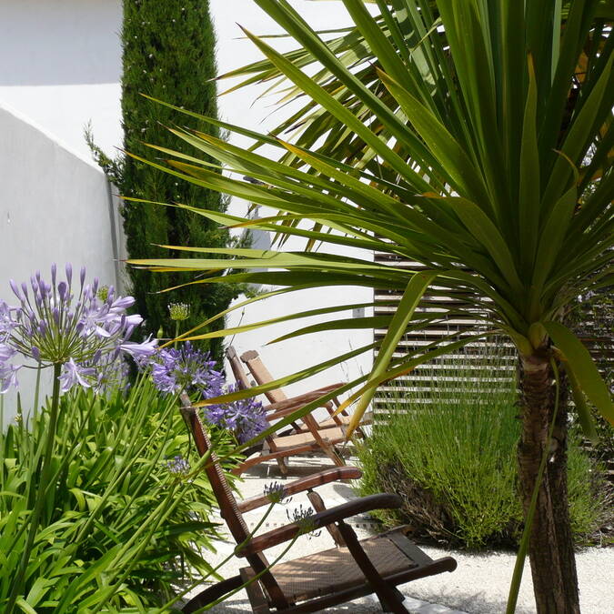 ILE DE RE residence meublés  de toursime RESIDENCE ANDREA 