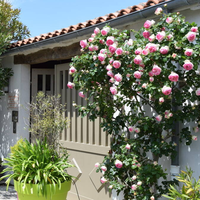 location de villas de charme  à  ile de ré résidence Andréa 