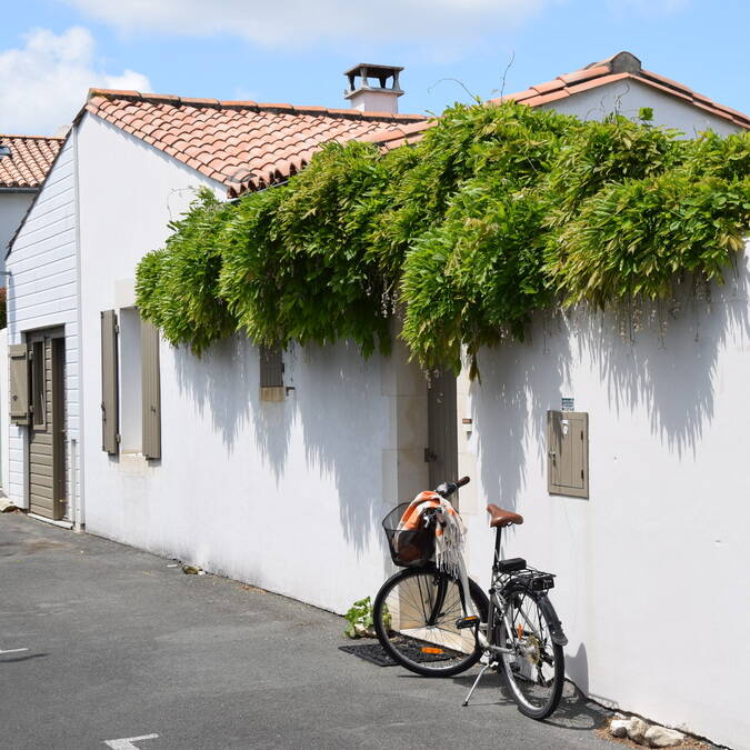 Ile de ré grande villa luxe résidence andréa